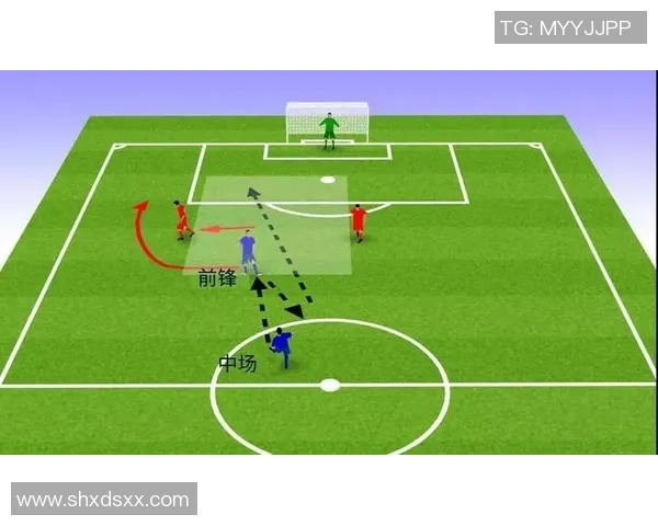 足球大知识揭秘:从历史起源到现代战术的全面解析与探讨