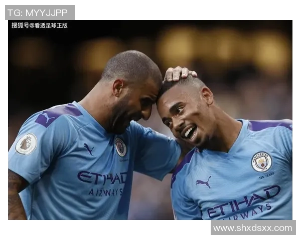 飞盘战术解析:杭州飞盘队的创新防守体系与战术执行探讨